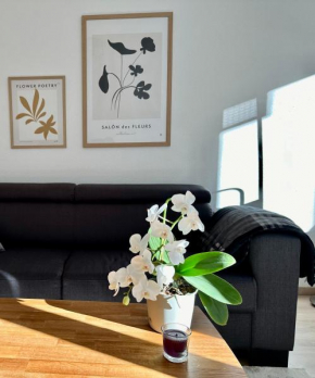 Modernes Zwei-Zimmer-Apartment Chemnitz - Kaßberg